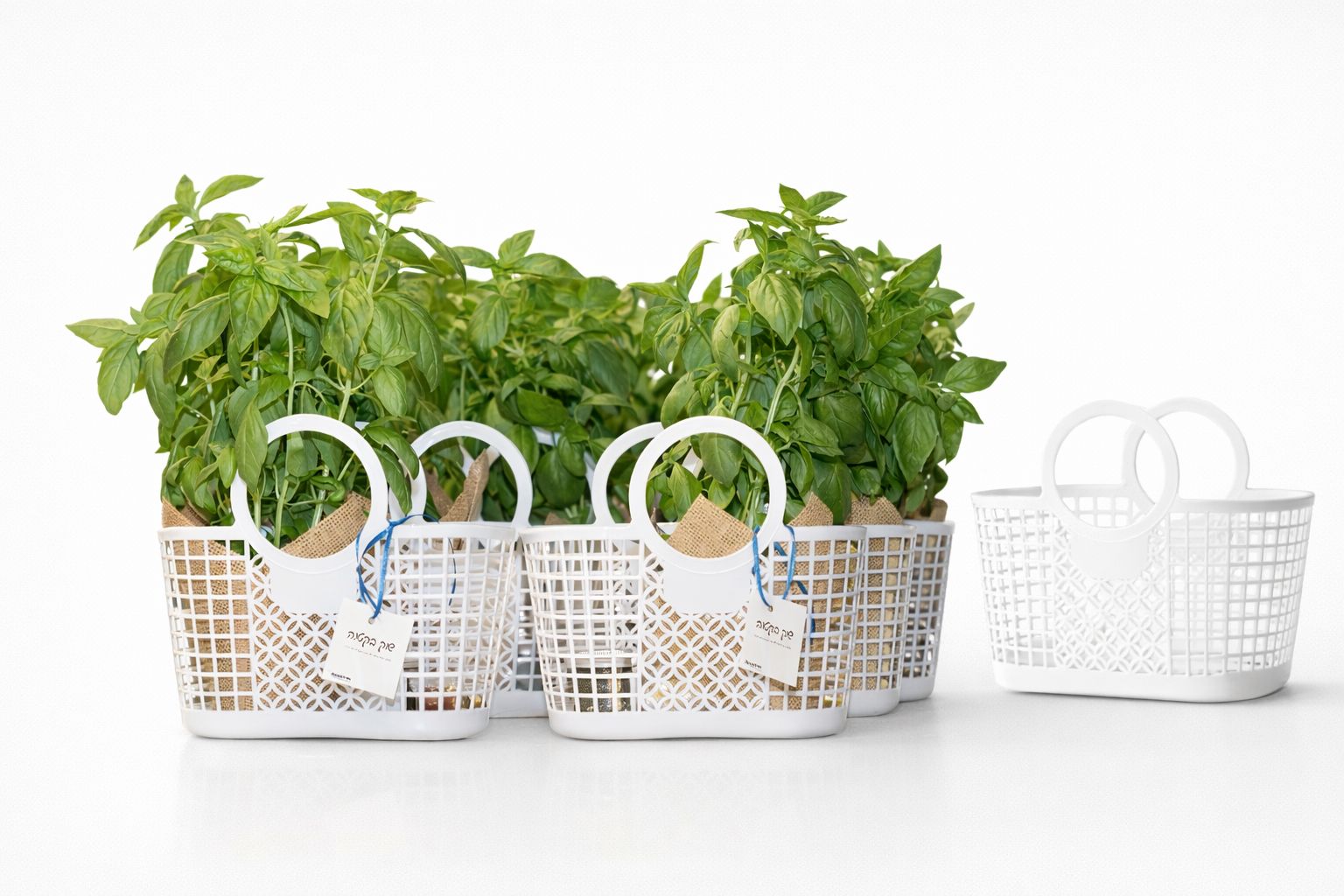 חוויה בקופסה